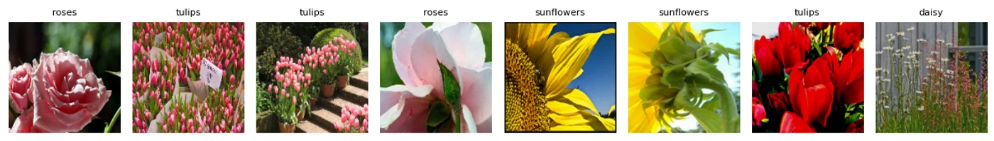 Eight sample training photos labeled roses, tulips, sunflowers, and daisy, at natural photo resolution with real backgrounds.